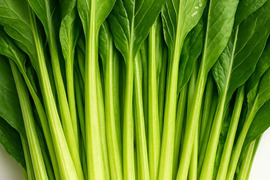 産地直送　朝どれ小松菜(3kg)