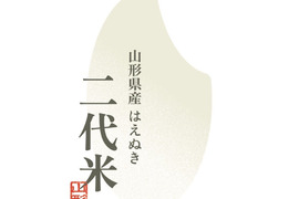 ( 先行予約 令和7年度 )( 山形県産 )（二代米・はえぬき）10ｋ ( さくらんぼとご一緒に！！ ）