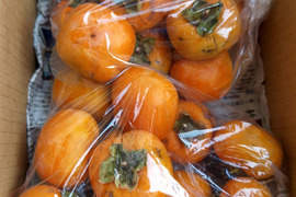 【50セット限定！今月中のお届け】【訳有】柿2.2kg　家庭用　かき
