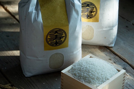 【 白米 10g 】天寿米 (栽培期間中農薬化学肥料不使用)
