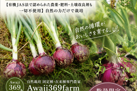 淡路島産たまねぎ赤【予約販売開始　数量限定】自然栽培★希少★固定種 在来種専門農家
（ 淡路産Awaji369farmからお届け）農薬不使用　無肥料栽培　内容【淡路島産　固定種　赤玉葱】3キロ