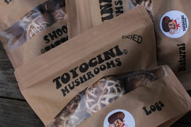 ☆トヨチーニ☆中サイズ（80ｇ入り）×1袋・乾しいたけ・乾椎茸・干し椎茸・しいたけ