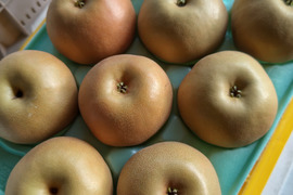 私の一番好きな梨　山形県産「南水」3kg（8-10玉）