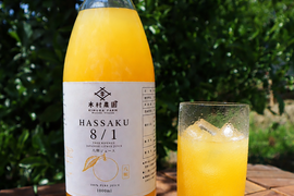 【父の日ギフト】スッキリ爽快の飲み味！生搾り100% HASSAKU8/1 ジュース（1ℓ×2本）　はっさく