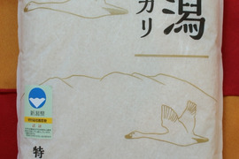【特別栽培米】新潟県阿賀野市産 従来コシヒカリ 5kg