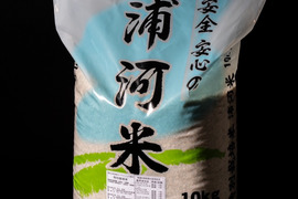 北海道産 特別栽培米 (令和4年産)ななつぼし10kg(玄米)