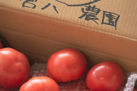 採れたて直送☆嘉麻市産☆桃太郎トマト１．５ｋｇ