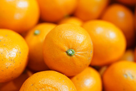 【小さなお口にぴったりフィット】とっても小さい！今年も甘〜くなった せとか です 2Sサイズ 25個入り ご家庭用 みかん