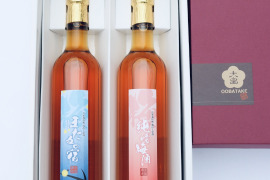 【ギフト】梅農家による甘辛梅酒500ml ２本セット ギフト のみくらべ 本格梅酒　辛口梅酒 甘口梅酒 自家栽培梅使用