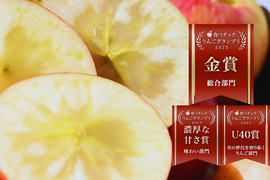 🏆2025年りんごGP金賞受賞🎊青森県産りんご　蜜たっぷり葉とらず高徳　家庭用3㎏【9～12個入り】