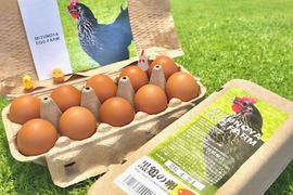 濃厚！希少品種『ネラ』の黒鶏（くろどり）の卵（30個入）