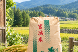 令和8年産 新米一等米！丸森町・棚田の雪解け水で育った「つや姫」玄米30kg