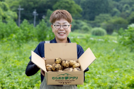 【神鍋火山が落とした宝】　兵庫県但馬産新じゃが！　《きたあかり　箱入２kg》