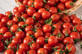 【トマト食べ比べ】特別栽培🍅「宮トマト」＆「プレ宮トマト」計１㎏