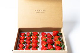 贈答用イチゴ6品種セット　250g×2p【いちご食べ比べ】