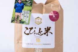 こぴっと米【極】大粒厳選特別栽培米２kg