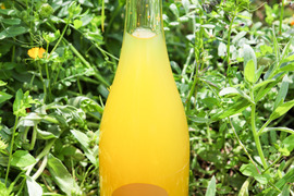 天然微炭酸‼️柑橘農家のみかんワイン　スパークリング