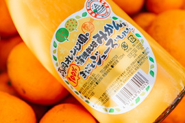 とろっと濃厚！みかんジュース2本セット(720ml×2)