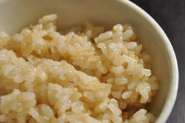 【新米】【玄米4kg（2kg×2袋）】特栽培米コシヒカリ【80サイズ】令和5年産・ 有機・低農薬（80％以上削減）