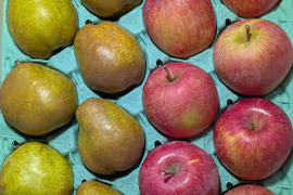 ふじとラ・フランス