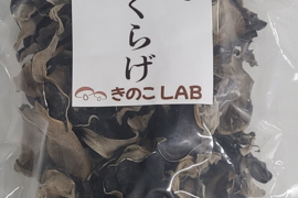 半額キャンペーン【稀少】国産乾燥きくらげ　100g
