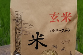 【新米】令和5年産　特別栽培米ミルキークイーン　玄米2kg