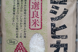 【令和5年度新米 精白米5kg】安清米（富山県産コシヒカリ）甘くてもっちり食感　保冷庫保管