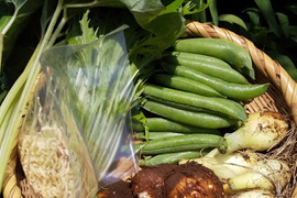 【野菜たちのセット2倍量】不耕起草生　耕さない草とともに台地の畑で２5年の野菜(種とり、農薬肥料不使用）