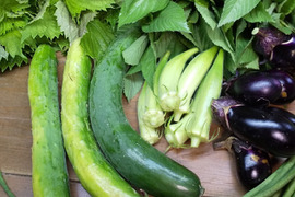 いのちを守る農場から 送料無料 農家直送！無農薬野菜の通販サイト│佐久間農園