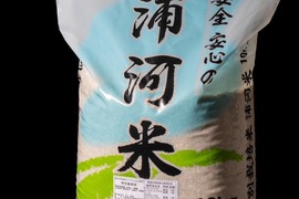 【令和7年産】北海道産 特別栽培米きたくりん10kg 玄米