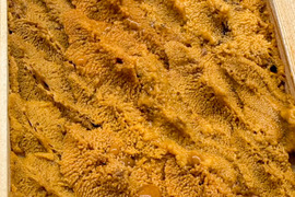 【入手困難】由良の黒ウニ/淡路島/本州ウニの最高峰【並】【4/13~4/14発送】