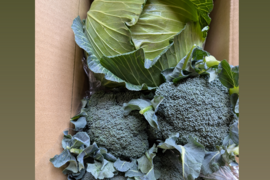 😊順ちゃんセット😊