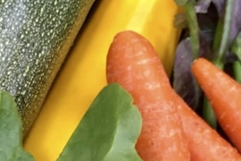 富士山麓の野菜セット