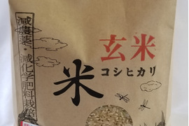令和4年産　特別栽培米コシヒカリ　玄米2kg