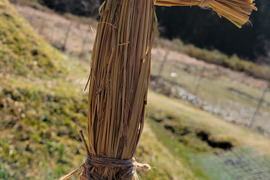【のろわ納豆】京都美山❗藁苞納豆を作ろうセット！