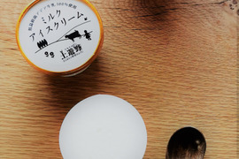 【ギフト】富山の低温殺菌アデア牛乳100％ミルクアイスクリーム10個セット【熨斗付き対応】