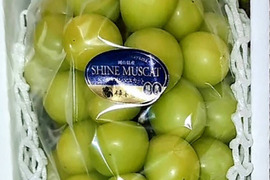 濃厚シャインマスカット贈答用　650g 1房