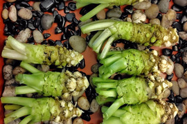わさびの通販｜野菜｜食べチョク｜産地直送(産直)お取り寄せ通販