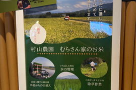 からだに優しいお米『新潟県産コシヒカリ』10Kg