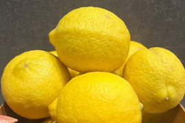 【和歌山県産】有田市からお届け！丸ごと使える自然派レモン3kg