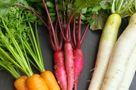 初夏の根菜セット　肥料農薬不使用、自然栽培