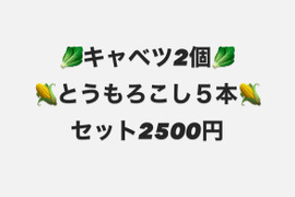 キャベツ2個、とうもろこし５本セット