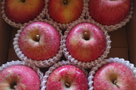 【🍎早生サンふじ】 大玉8個 (3.5㎏・家庭用)