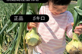 【正品】今が旬の淡路島玉ねぎ5キロ