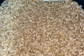 令和７年9月に刈り取りました。
新米☆☆にじのきらめき(大粒)☆酵素散布米
にじのきらめき 玄米２キロ精米無量