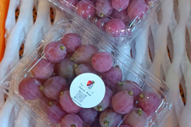 ご家庭用クイーニーナ粒(1キロ)訳あり