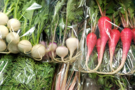 【春めく菜花やつぼみ菜入り】おまかせ野菜セット10種前後～