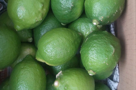 激安広島県産レモン🍋防腐剤不使用　皮ごと使える 訳あり品  10ｋｇ