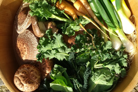 【BS-TBSで紹介✨】春の野菜ギュッと詰め合わせ５種類