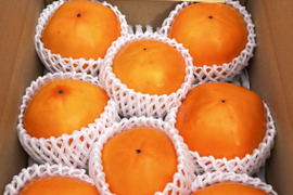 【2025予約販売】鳥取県八頭鳥取県八頭町産　日本一甘い柿『花御所柿』3kg